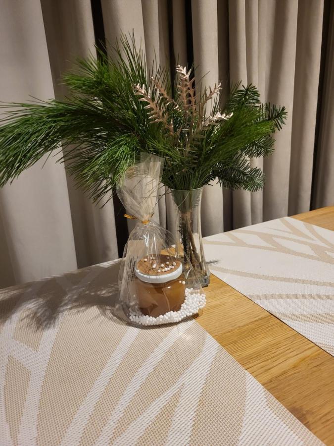 Jono Kalnelis Apartments Klaipėda Eksteriør bilde